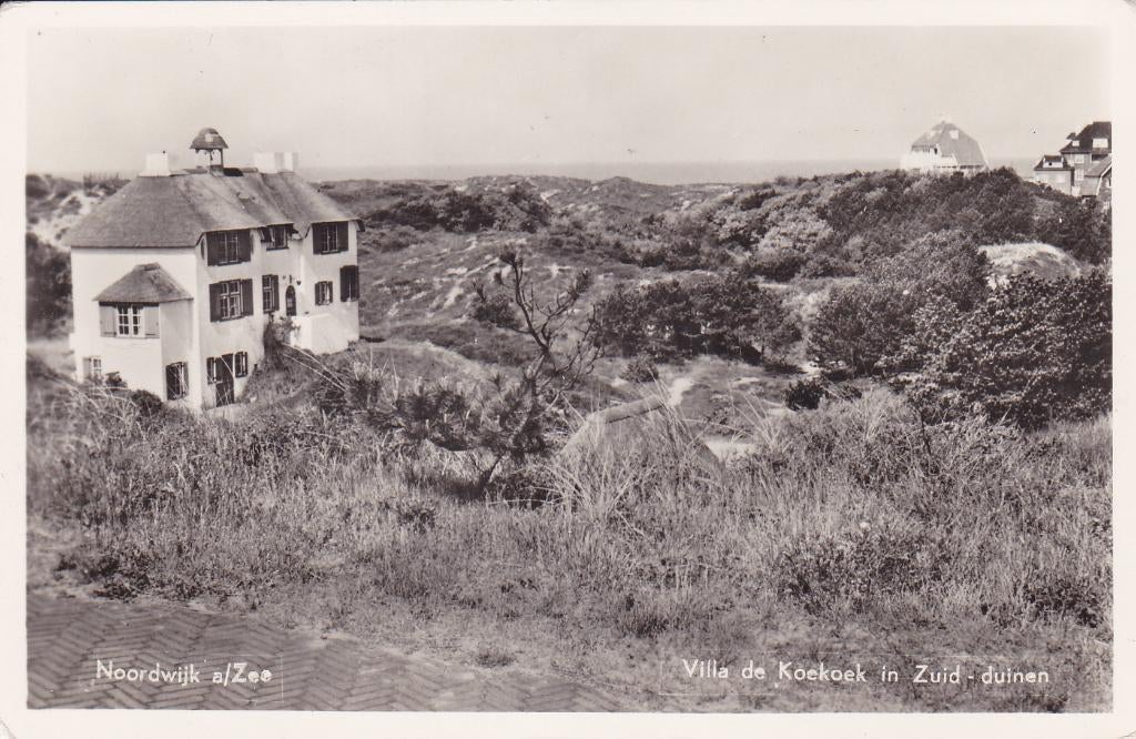 Noordwijk aan Zee. Villa de Koekoek in Zuid-duinen.  **, Verzenden, 1940 tot 1960, Ongelopen, Zuid-Holland