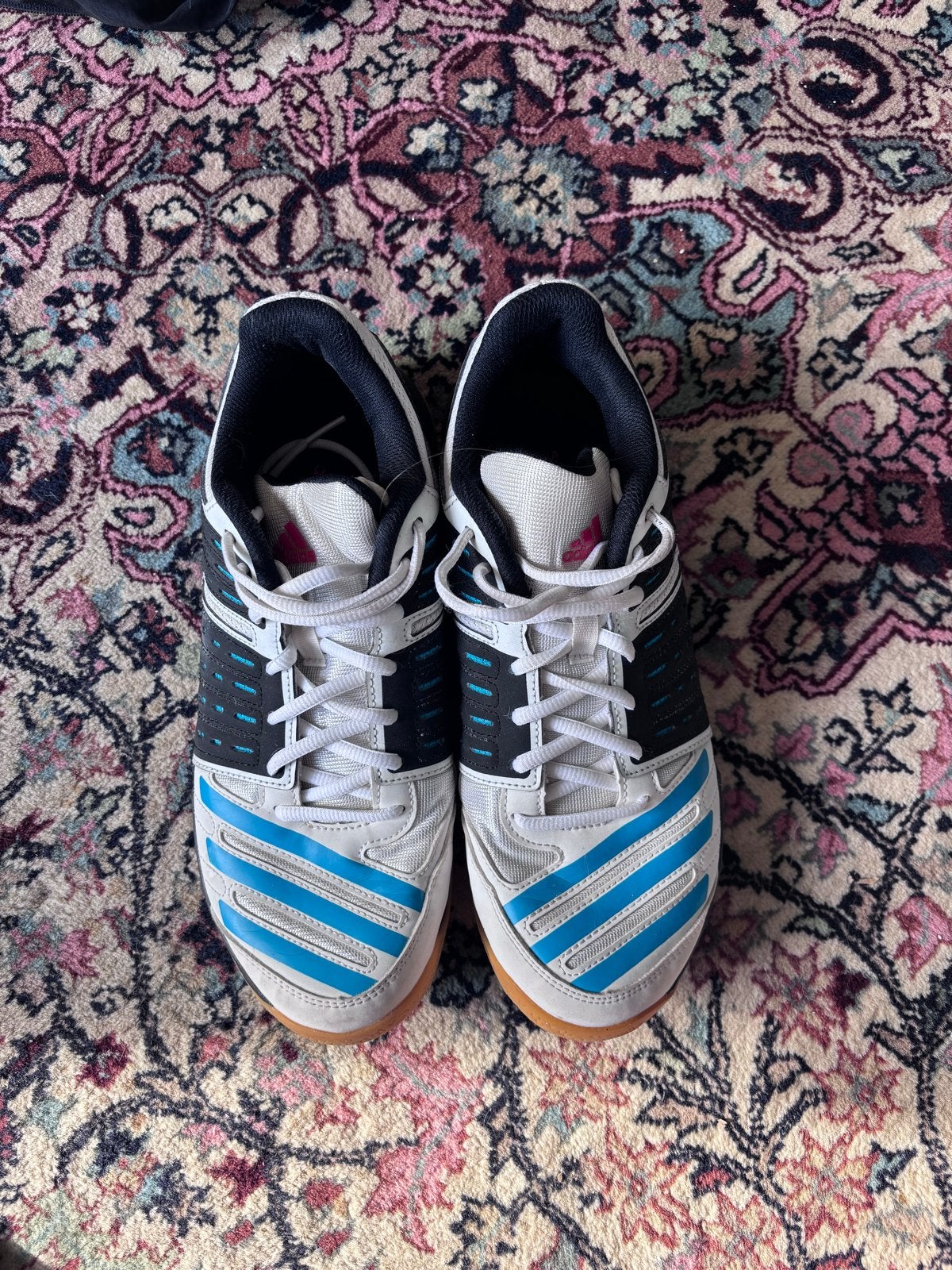 Nieuwe Adidas Padel/Squash Schoenen Maat 42, Ophalen of Verzenden, Nieuw, Padelschoenen