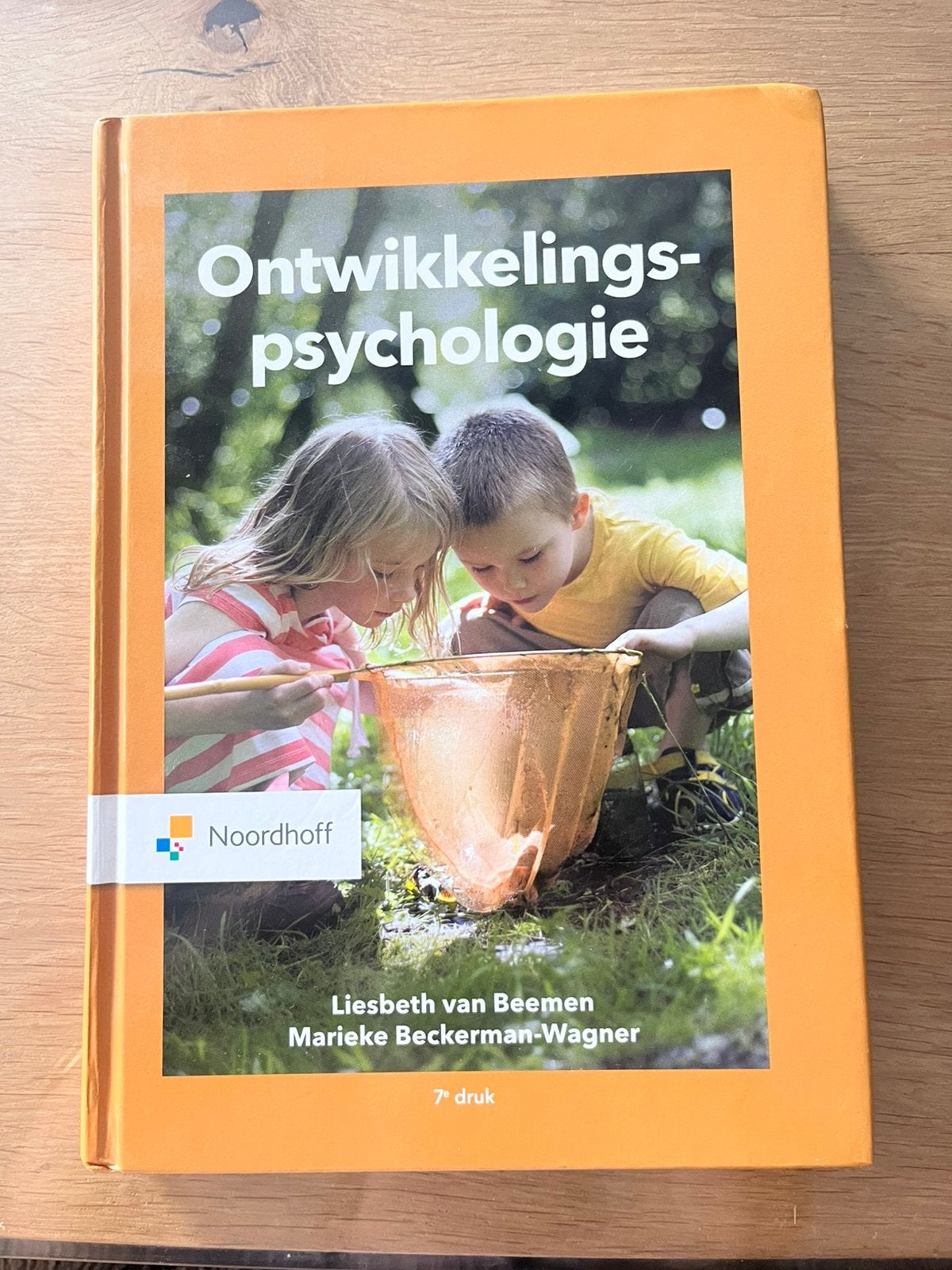 Ontwikkelingspsychologie, Ophalen of Verzenden, Zo goed als nieuw, HBO