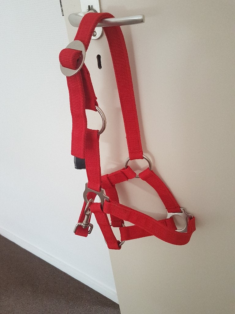 Pony Halster Met Touw!!, Zo goed als nieuw, Halster, BR, Rood