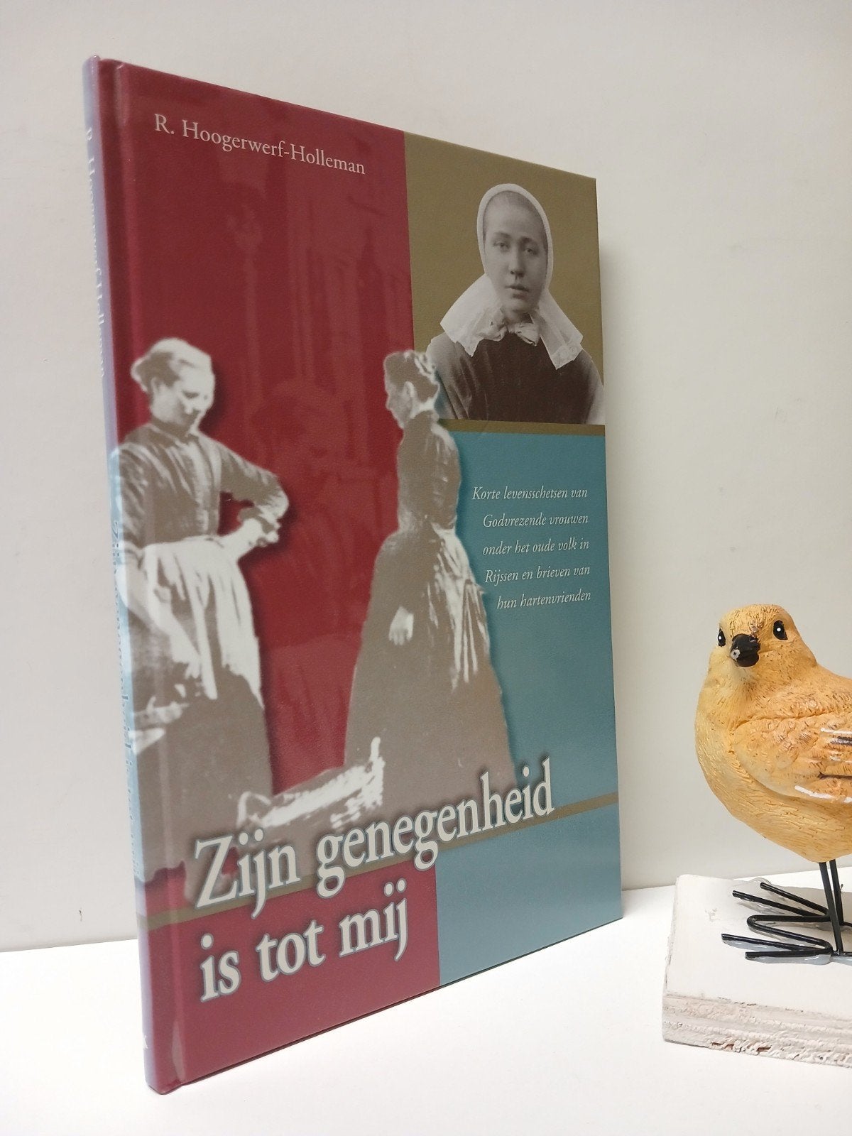 Hoogerwerf-Holleman, R.; Zijn genegenheid is tot mij, Boeken, Ophalen of Verzenden, Gelezen, Christendom | Protestants