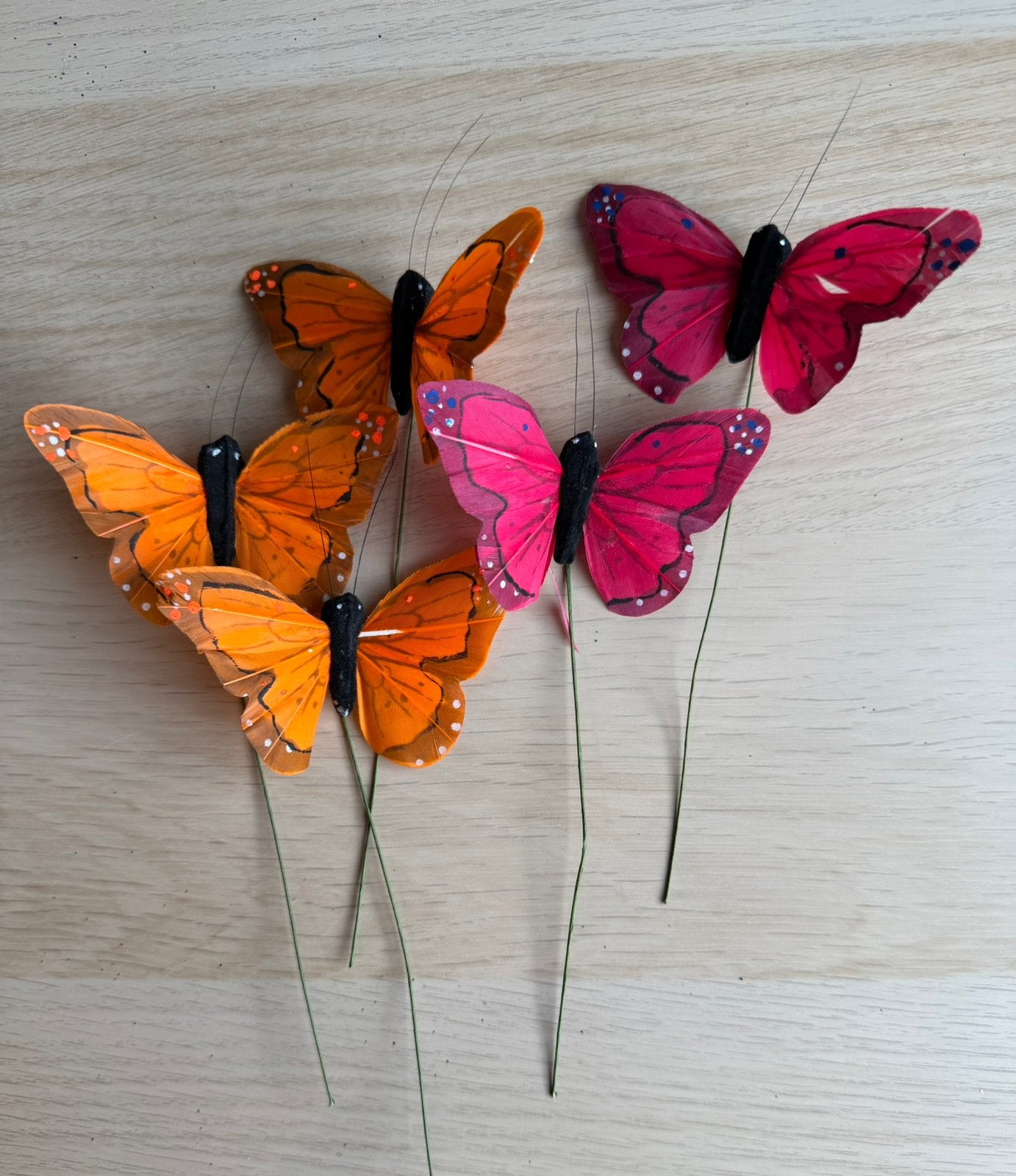 5 vlinders, Hobby en Vrije tijd, Gebruikt, Verzenden, Dieren, Meerkleurig