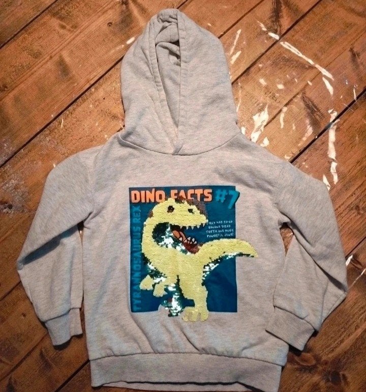 H&M Hoodie Jongen Maat 122/128, Trui of Vest, H&M, Ophalen of Verzenden, Zo goed als nieuw