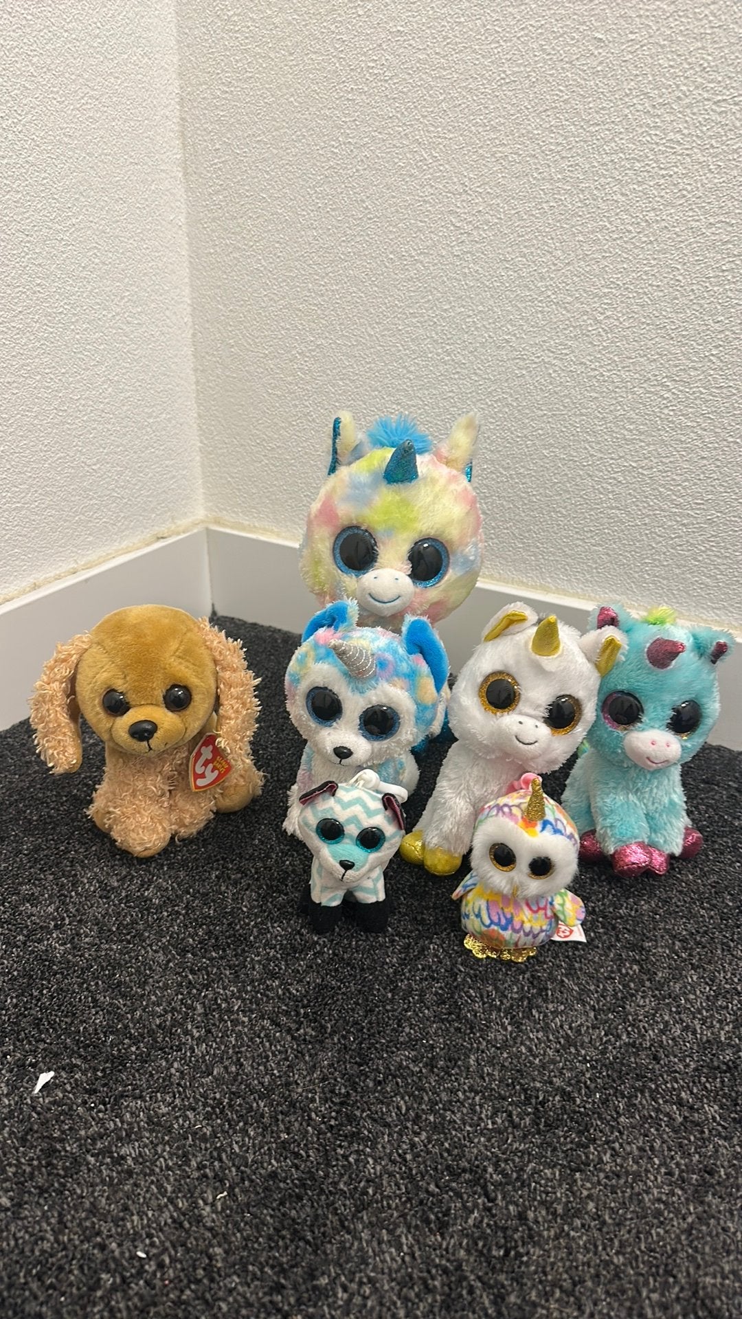 Diverse Beanie Babies, Kinderen en Baby's, Speelgoed | Knuffels en Pluche, Ophalen of Verzenden, Zo goed als nieuw, Overige typen