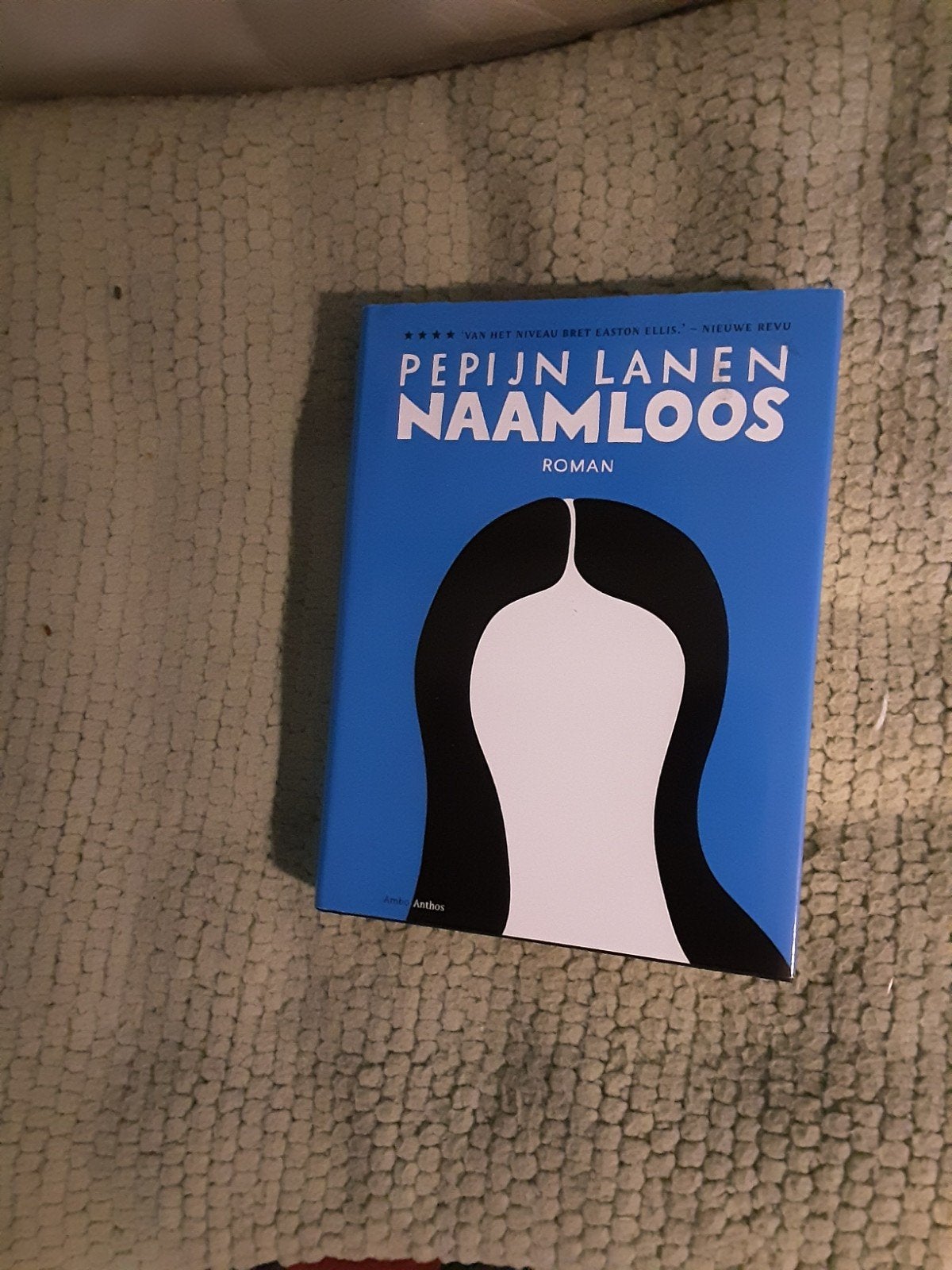 Pepijn Lanen-----Naamloos, Pepijn Lanen, Ophalen of Verzenden, Zo goed als nieuw, Nederland