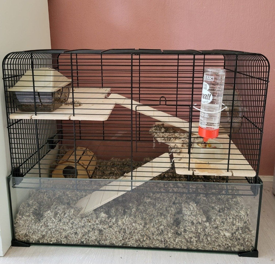 Knaagdieren kooi, Dieren en Toebehoren, Knaagdieren en Konijnen | Hokken en Kooien, Minder dan 60 cm, Minder dan 75 cm, Ophalen of Verzenden