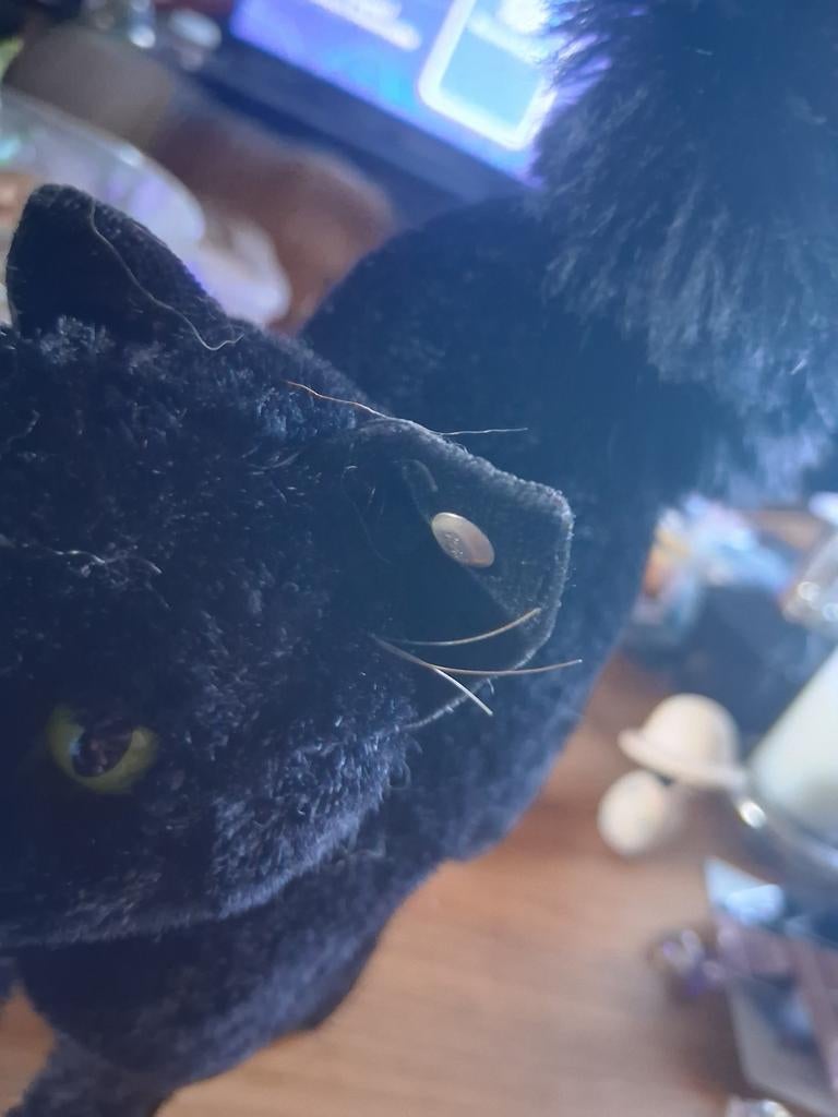 Steiff Mohair Poes uit 1973 - Halloween Cat, Ophalen of Verzenden