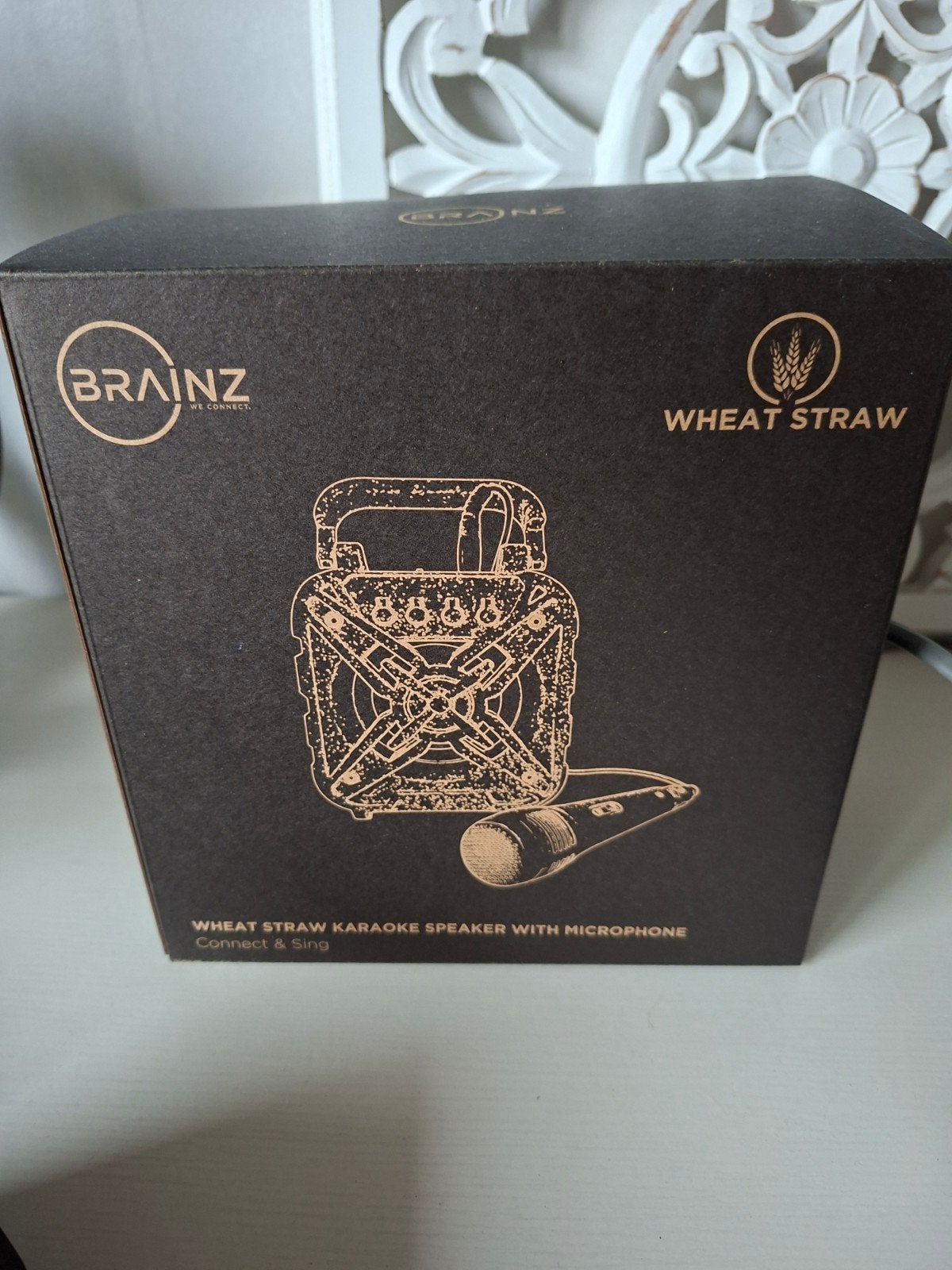 Brainz Karaoke Speaker met Microfoon - Nieuw in doos, Ophalen of Verzenden, Nieuw, Complete set
