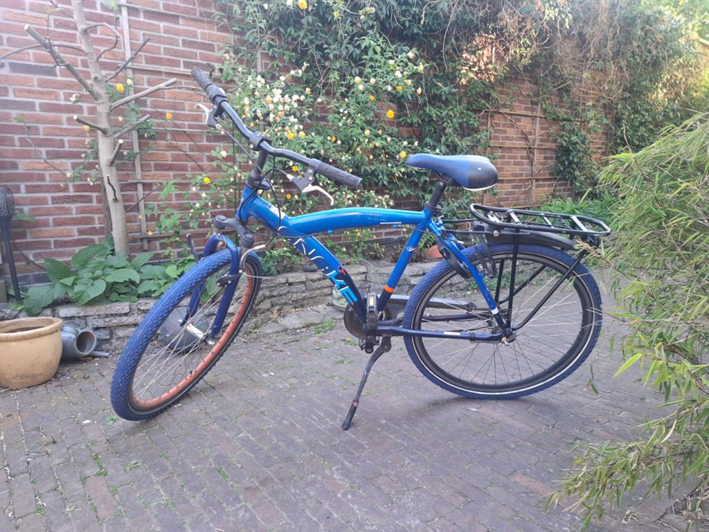 Batavus Snake 26 inch, Ophalen