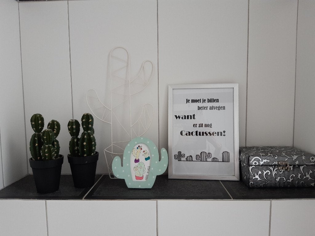ACCESSOIRES VOOR B.V. TOILET, Ophalen of Verzenden, Zo goed als nieuw