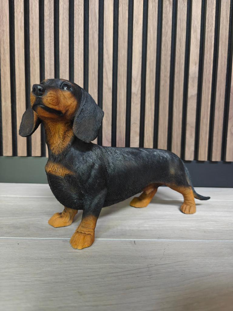 Teckel hond originele kleuren. Teckel hond maat M, Ophalen of Verzenden, Nieuw, Dier