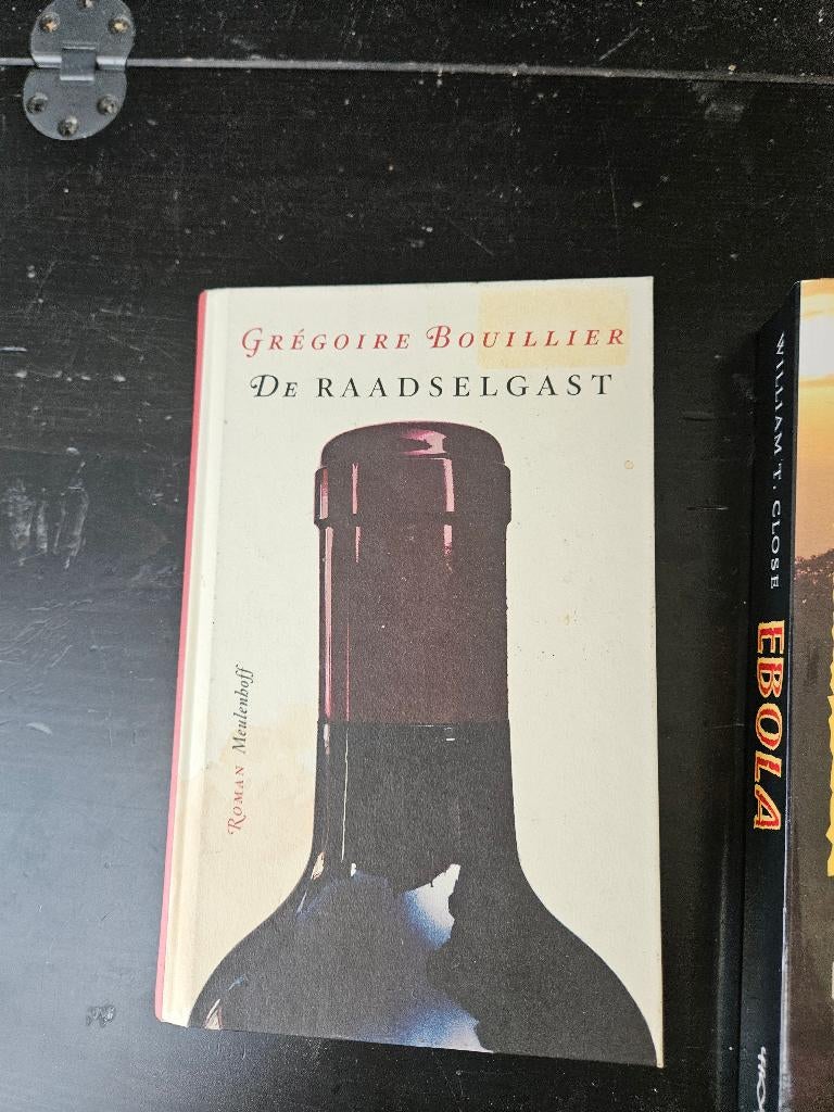 Gregoire Bouillier - de raadselgast, Ophalen of Verzenden, Gelezen