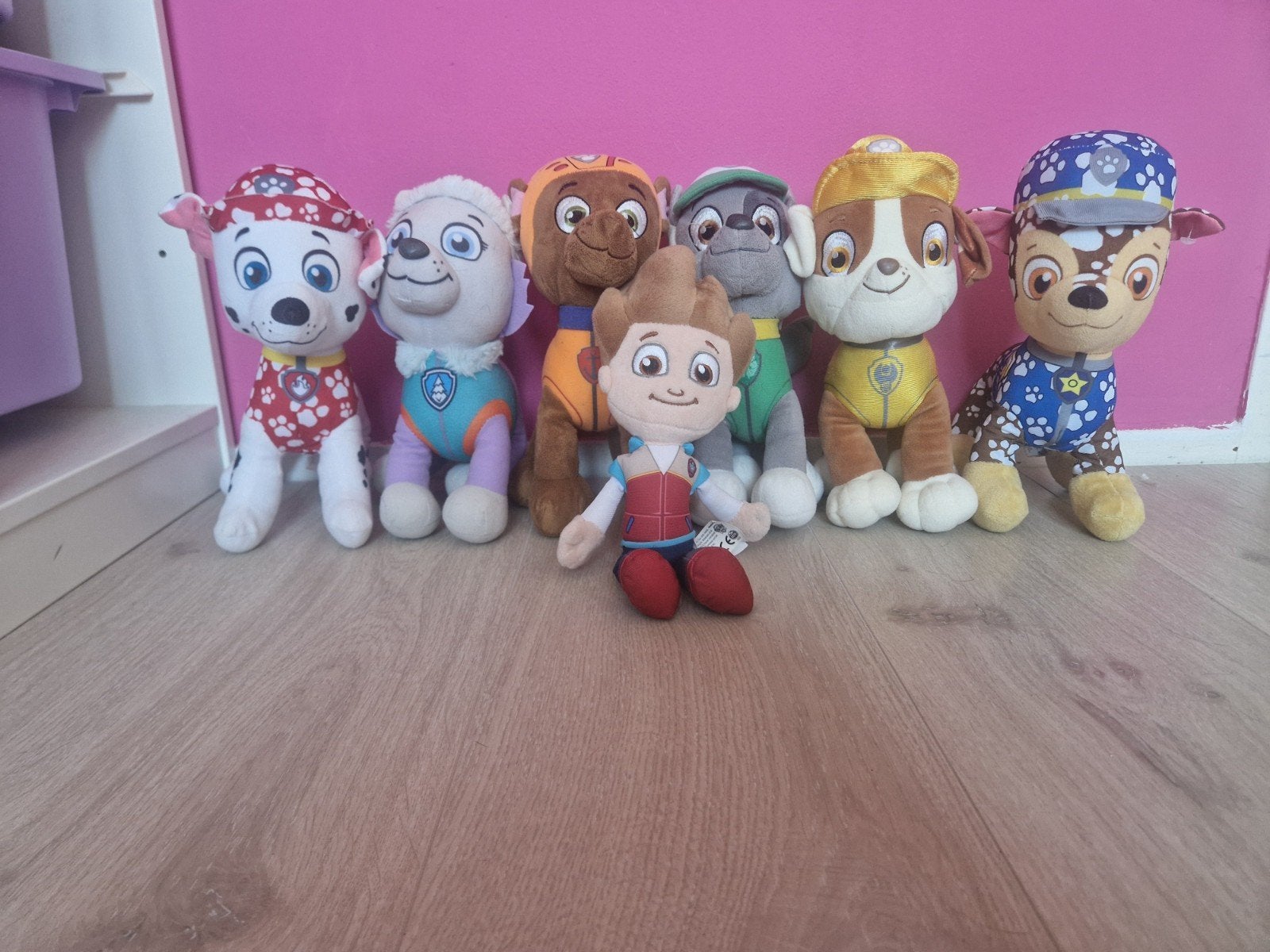 pawpatrol knuffels, Ophalen, Overige typen