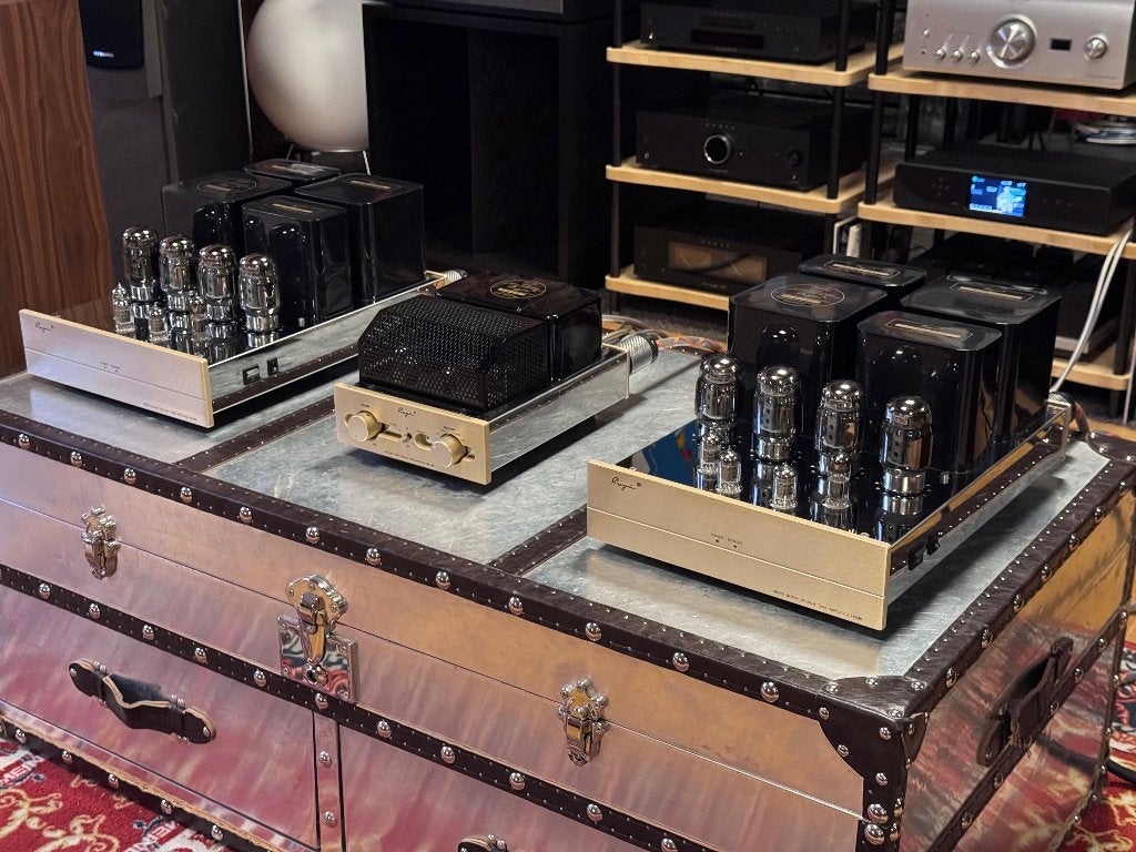 Cayin / Spark SC-6L + 2x 810MK, Ophalen, Gebruikt, Overige merken