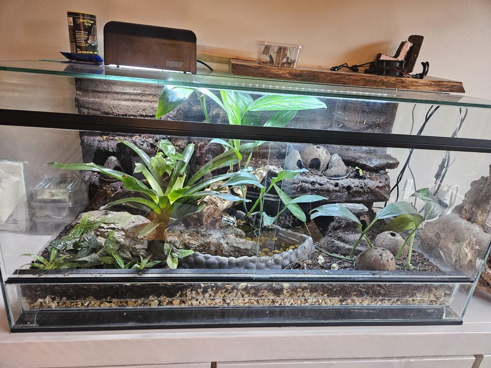Terrarium/paludarium alles volledig inbegrepen, Ophalen, Terrarium of Paludarium