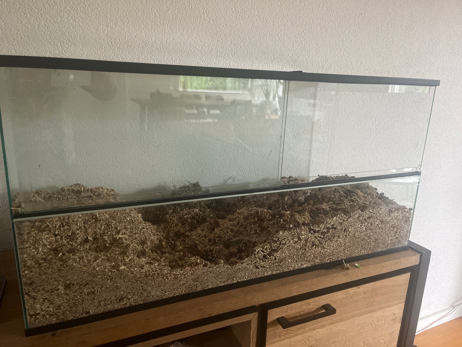 Hanster gerbel bak kooi, 75 tot 110 cm, Ophalen, Minder dan 60 cm, Hok