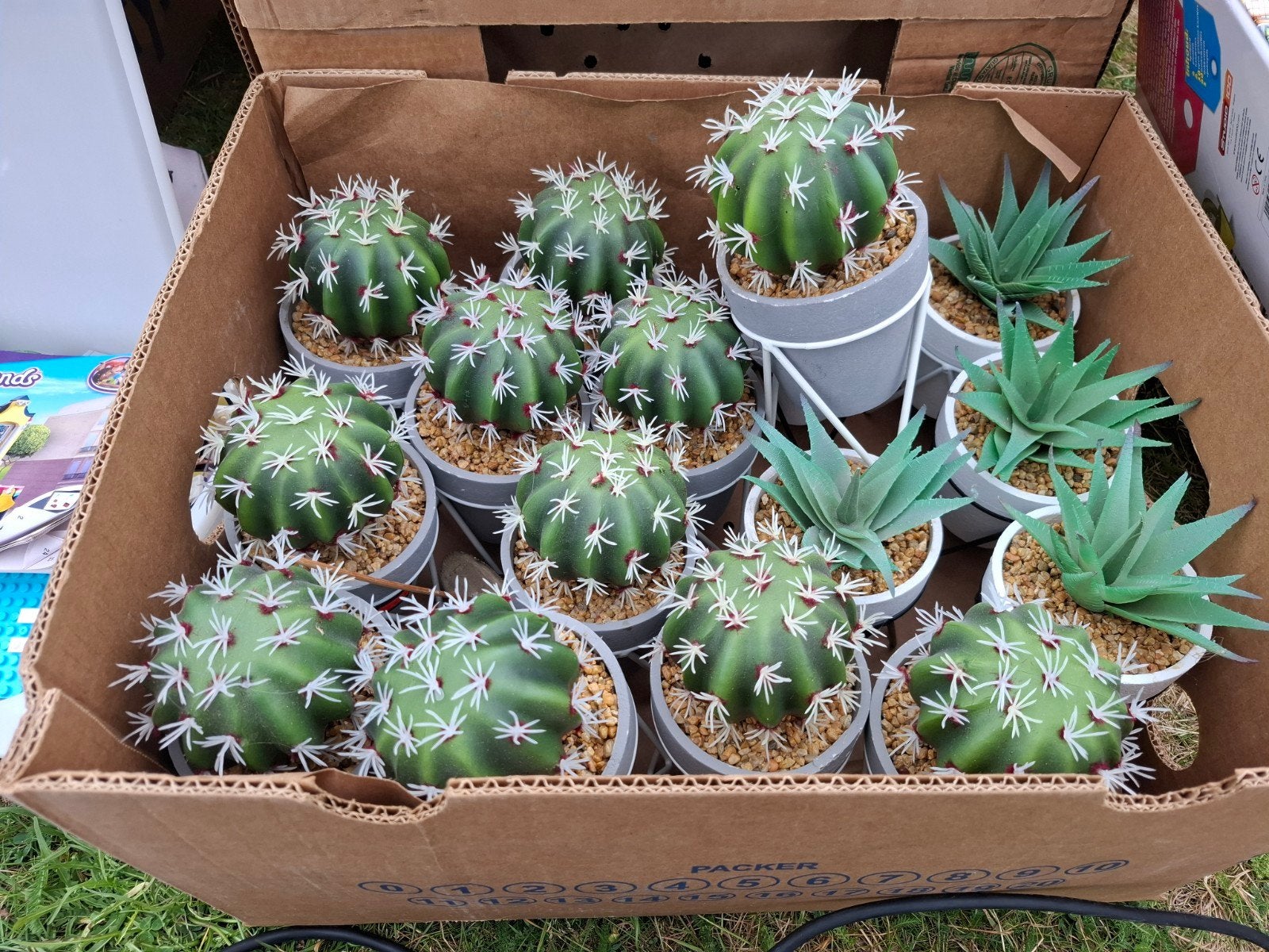 Decoratieve kunstplanten: Cactussen en vetplanten, Ophalen