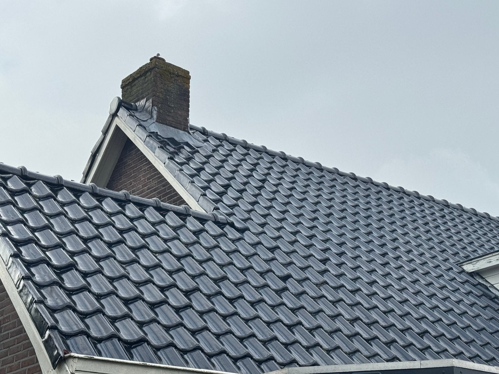 Dakpannen ong 1000, Ophalen, Gebruikt, Steen of Klei, 15 m² of meer