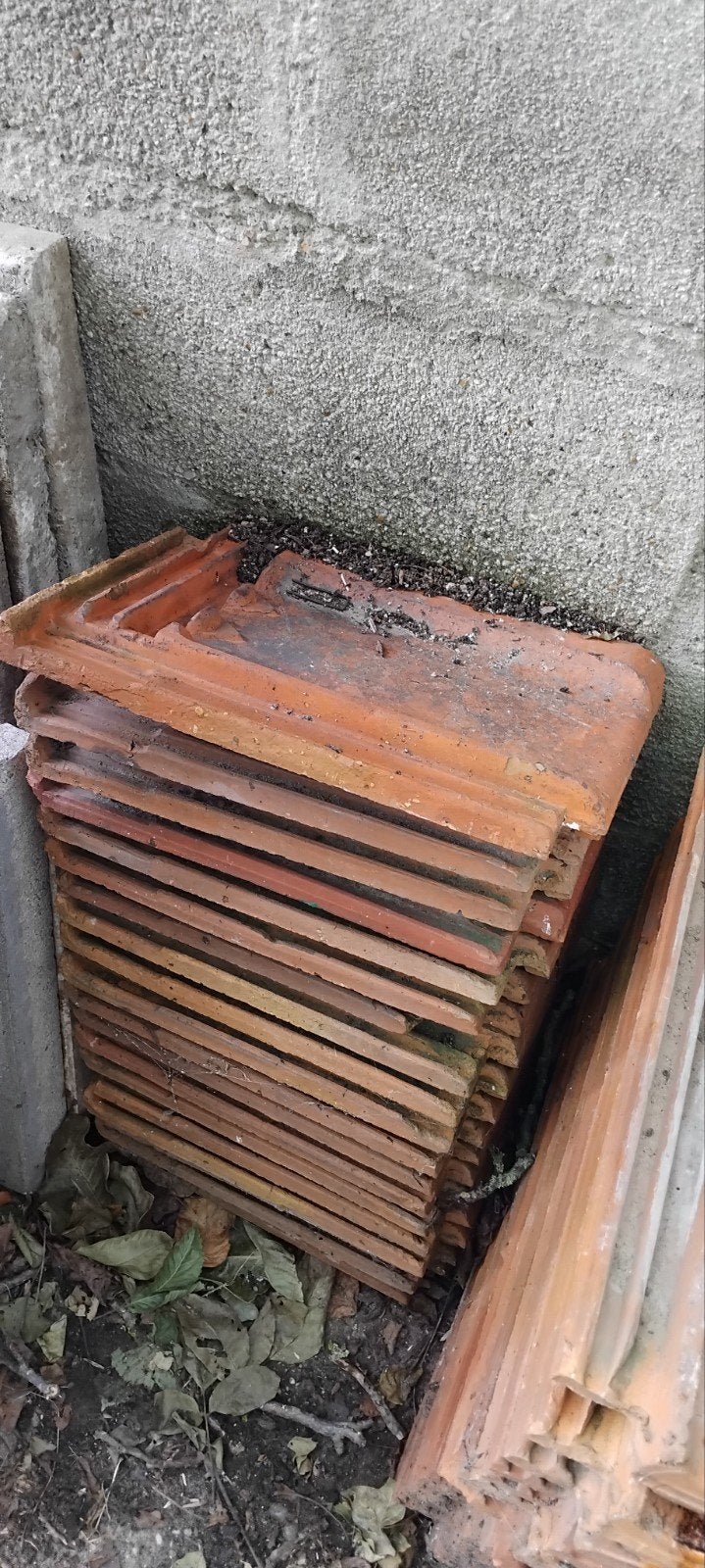 Gebruikte rode dakpannen., Doe-het-zelf en Verbouw, Dakpannen en Dakbedekking, Ophalen, Gebruikt, Steen of Klei, Dakpannen