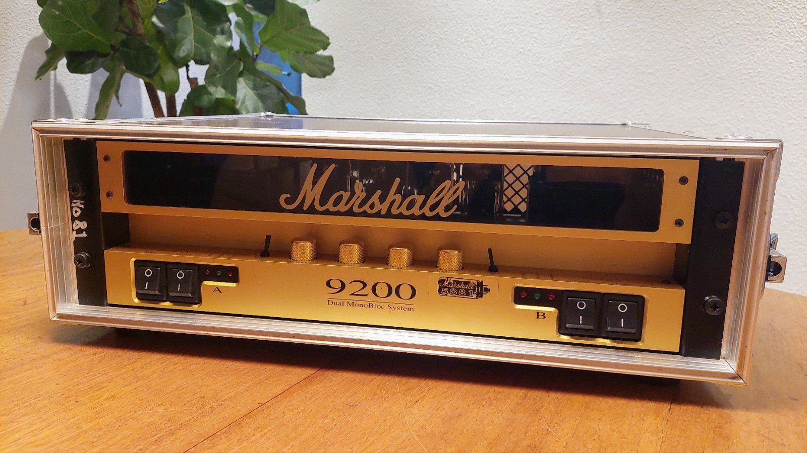 Marshall 9200 Dual MonoBloc (5881 buizen) incl. Flightcase, Muziek en Instrumenten, Overige Muziek en Instrumenten, Ophalen, Gebruikt