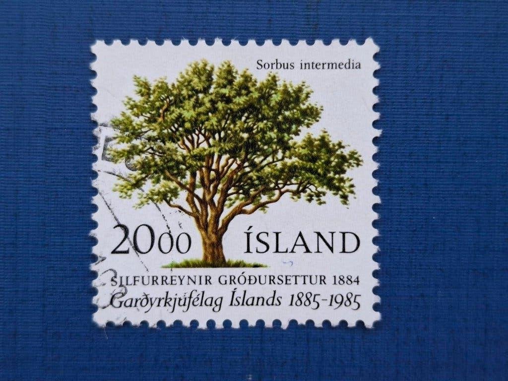 Postzegel Ijsland 1985 zegel 100 jr Hortus Botanicus 01-07, Postzegels en Munten, Ophalen of Verzenden, IJsland, Gestempeld
