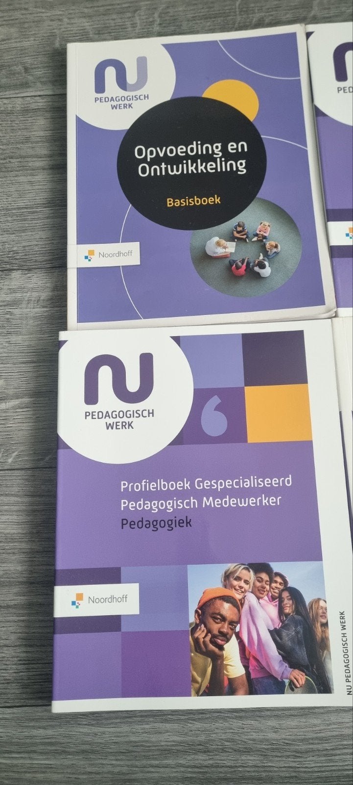 NU Pedagogisch Werk boeken + Werken met baby's in een groep, Ophalen of Verzenden, Zo goed als nieuw, MBO, Sylvia Nessent, Orpha Vanderhaegen, Noordhoff Uitgevers