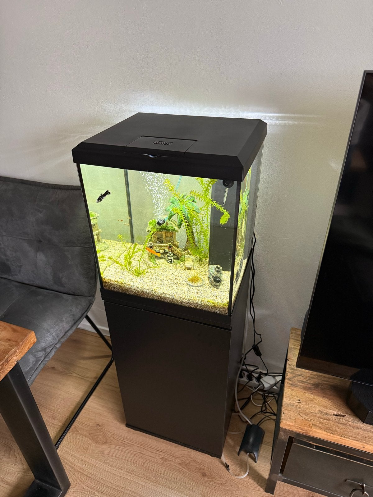 Aqaurium Juwel Cube 54L, Ophalen, Zo goed als nieuw, Leeg aquarium, Juwel