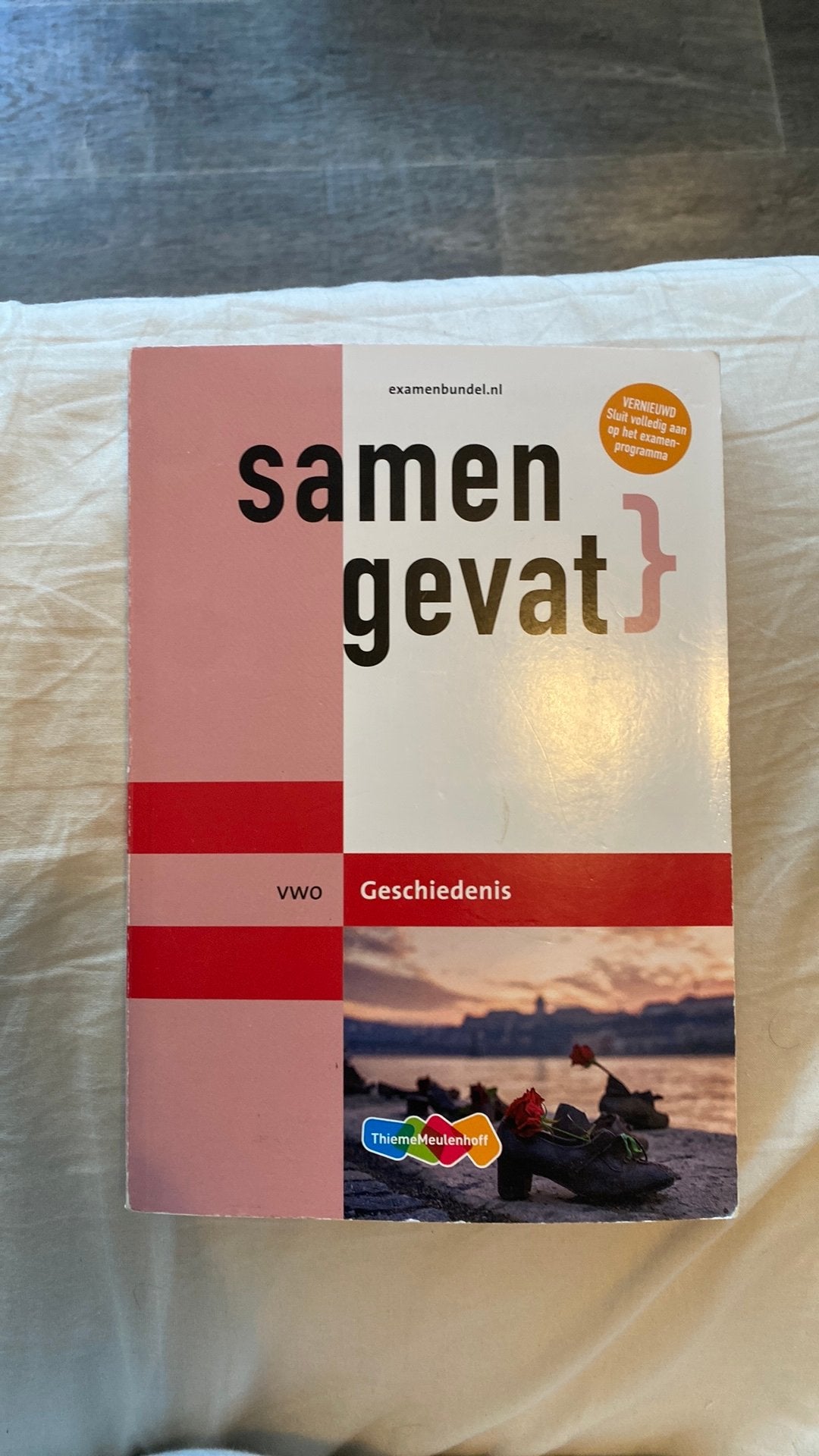 Samengevat VWO Geschiedenis, Ophalen of Verzenden, Zo goed als nieuw, VWO, Geschiedenis
