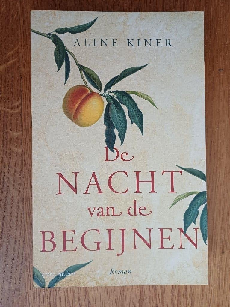 Aline Kiner - De nacht van de begijnen, Ophalen of Verzenden, Zo goed als nieuw, Aline Kiner