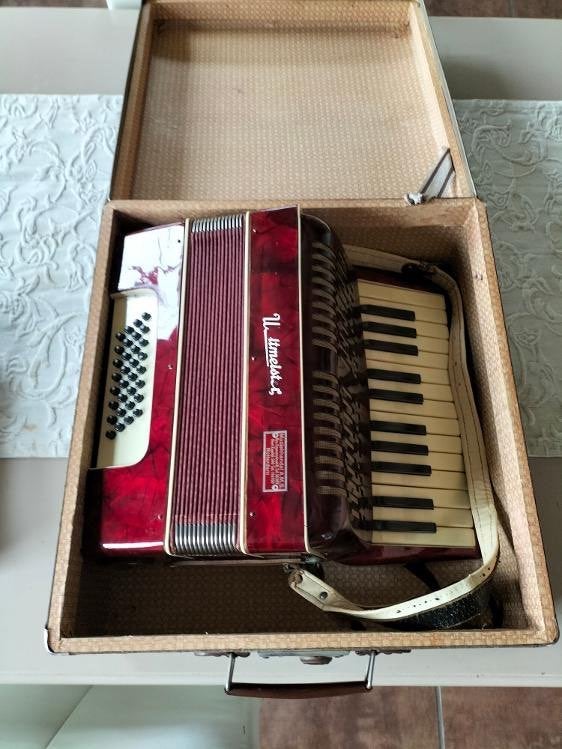 Middelgrote accordeon met lesmateriaal zelfstudie, Ophalen, Gebruikt, Overige merken, Met koffer