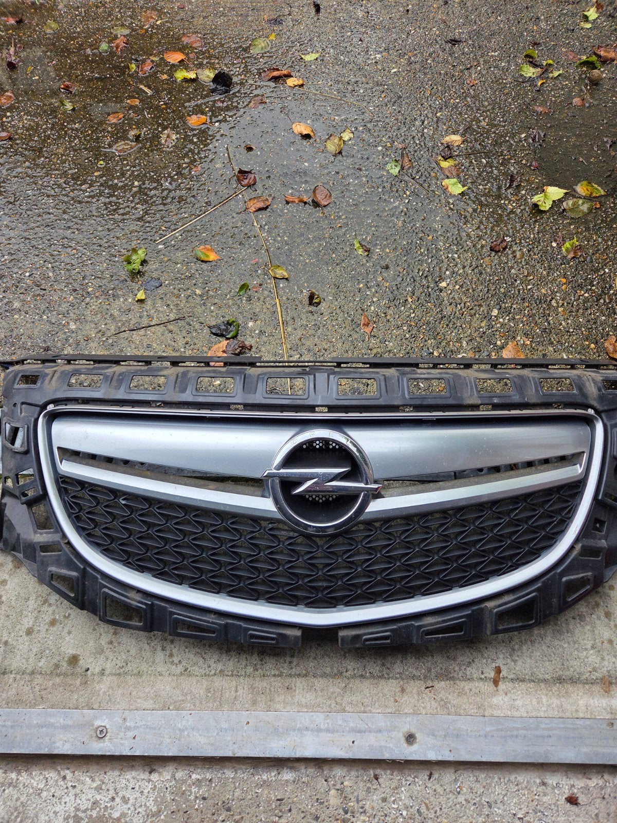 Grill en luchthappers Opel Insignia OPC, Ophalen, Gebruikt, Voor, Opel