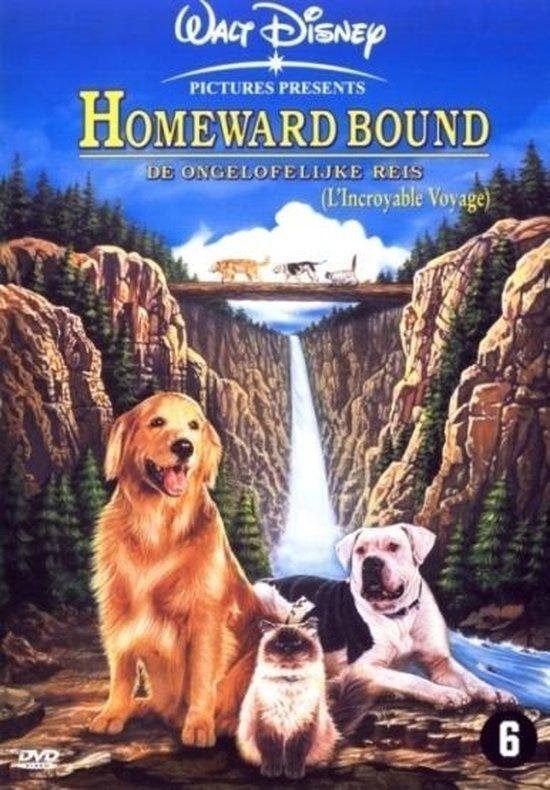 Homeward Bound Disney - Origineel Ned. Gespr/Ondert., Tekenfilm, Ophalen of Verzenden, Zo goed als nieuw, Alle leeftijden