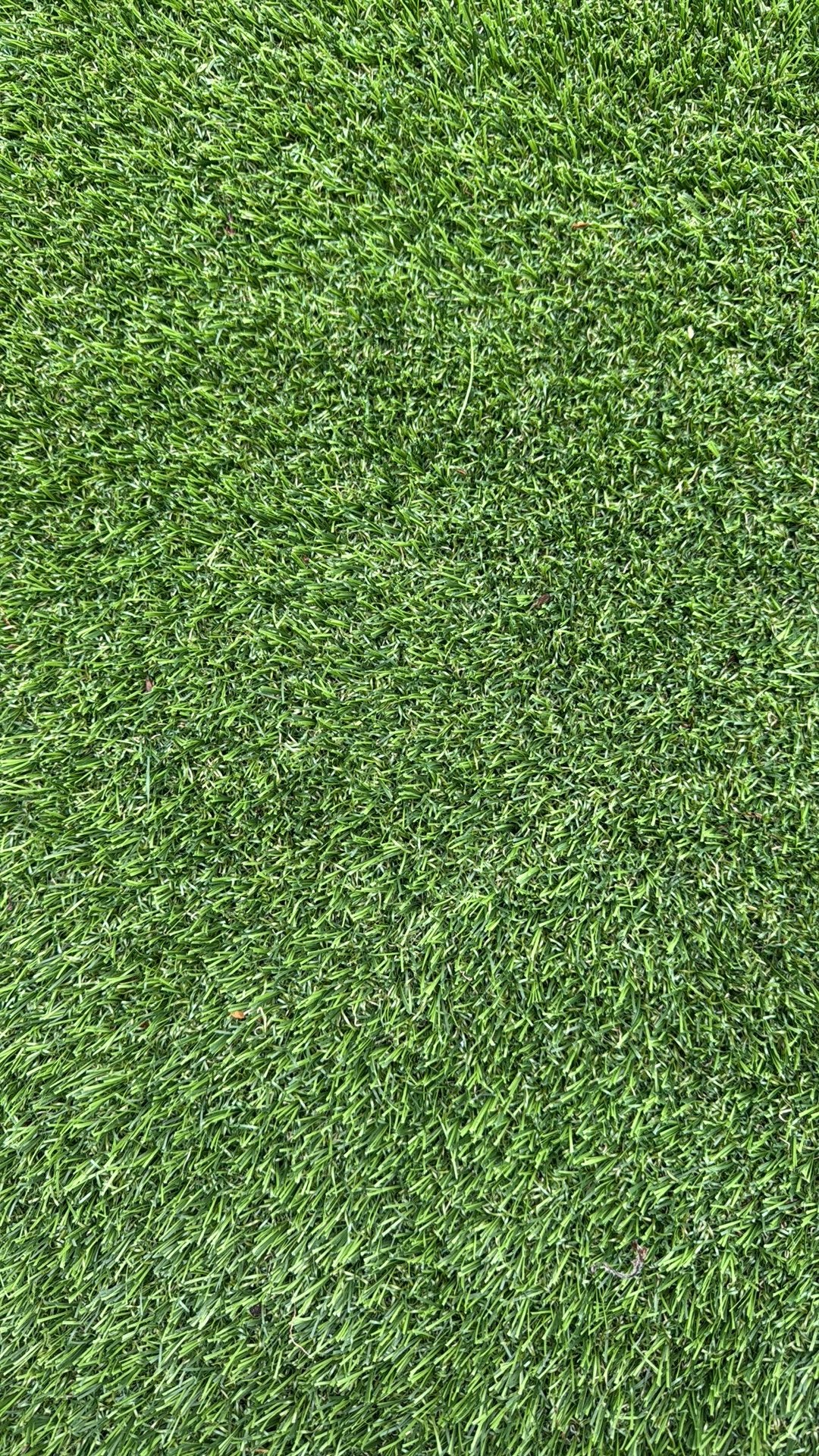 Kunstgras Eden 45 nieuw, Ophalen, Nieuw, Kunstgras