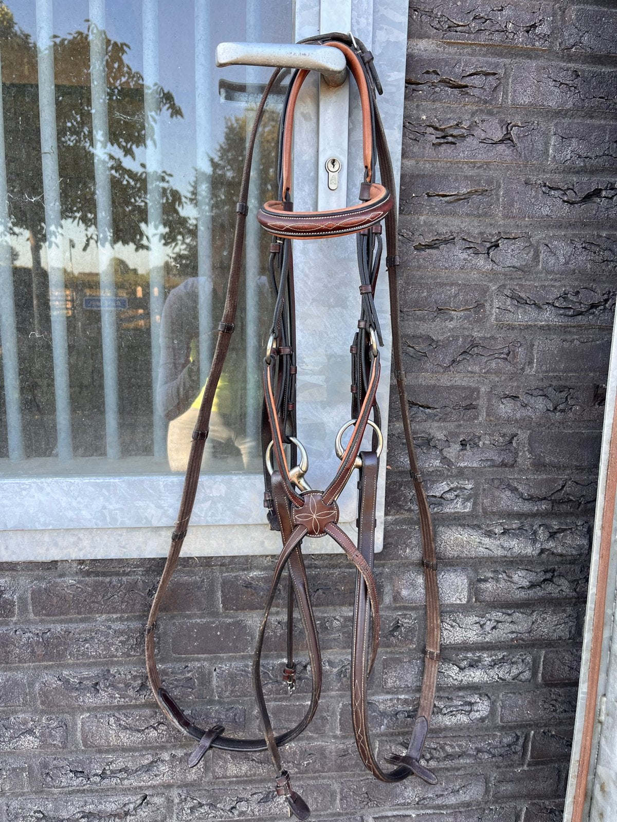 Bruin Prestige Pony hoofdstel, Ophalen, Springen, Bruin, Inclusief teugels
