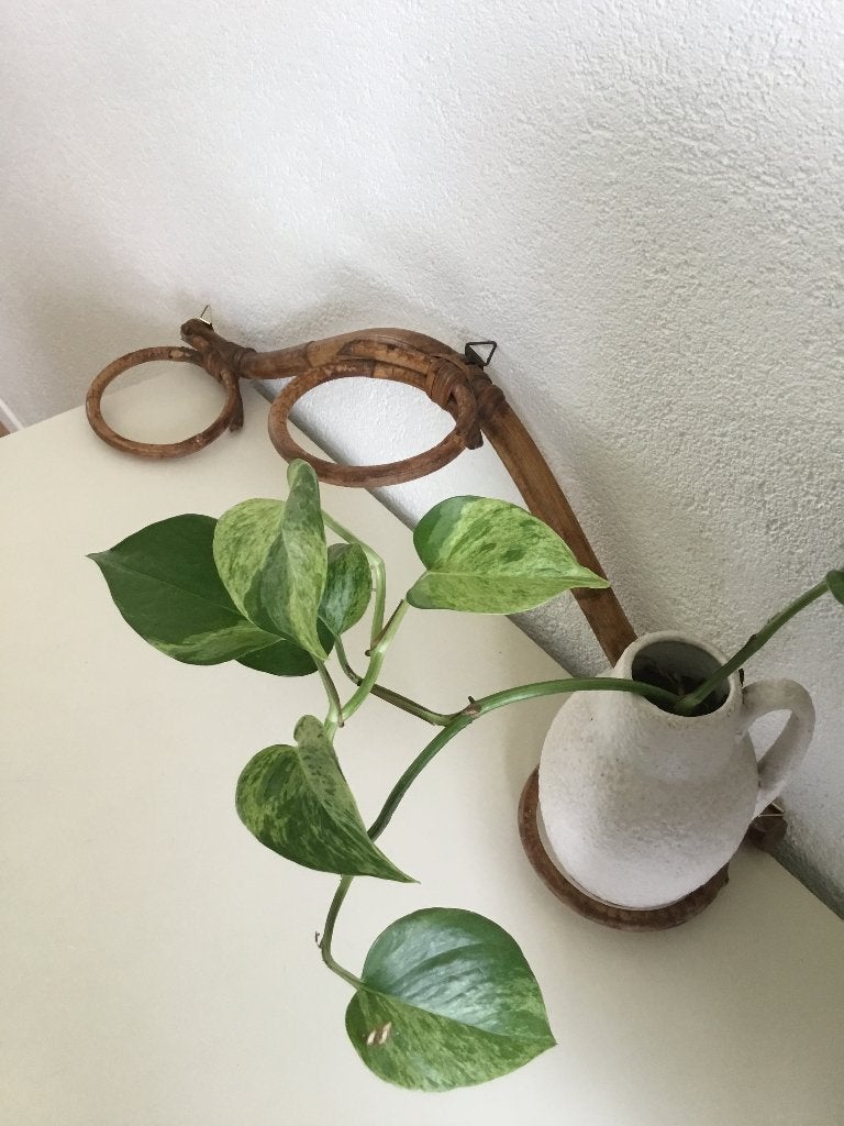 vintage rotan, bamboe wand plantenhanger voor 3 planten, Antiek en Kunst, Ophalen of Verzenden