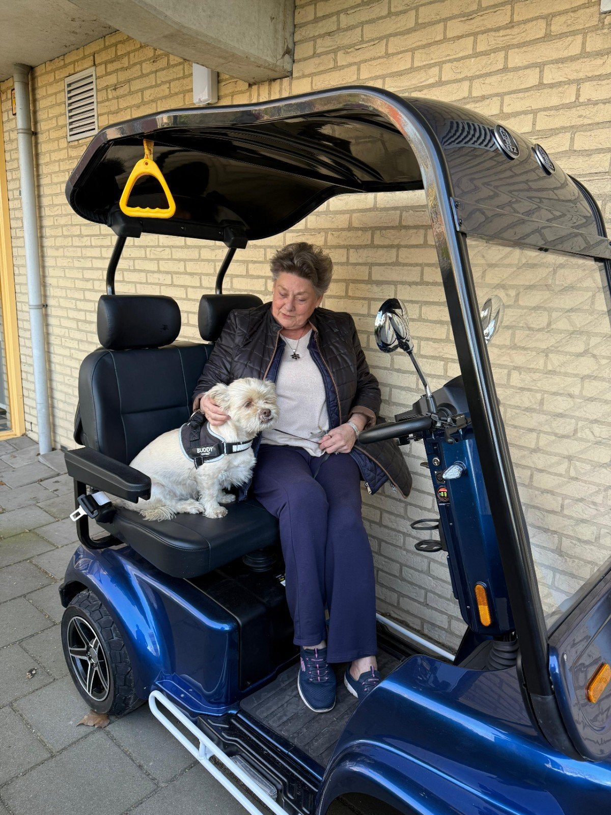 Duo scootmobiel. Met je hond of partner, Ophalen, 46 km of meer, 16 km/u of meer