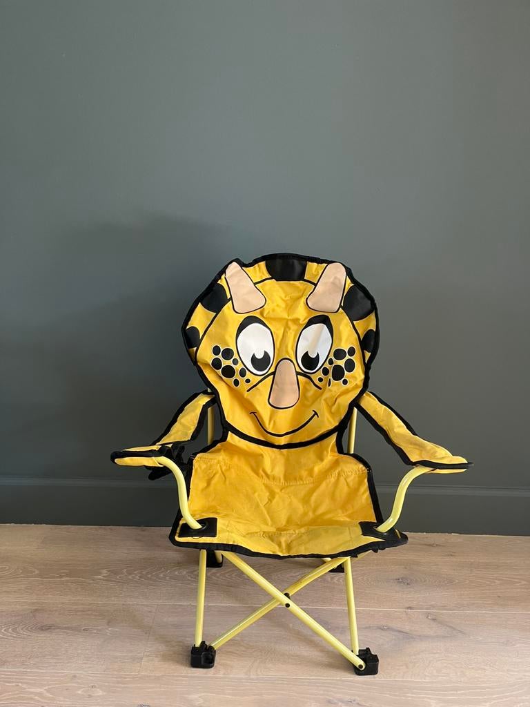 Kinder campingstoel /vouwstoel, Ophalen, Zo goed als nieuw, Campingstoel