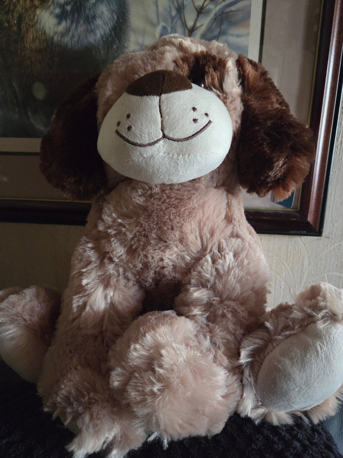 Teddy Pluch, Ophalen of Verzenden, Nieuw, Hond