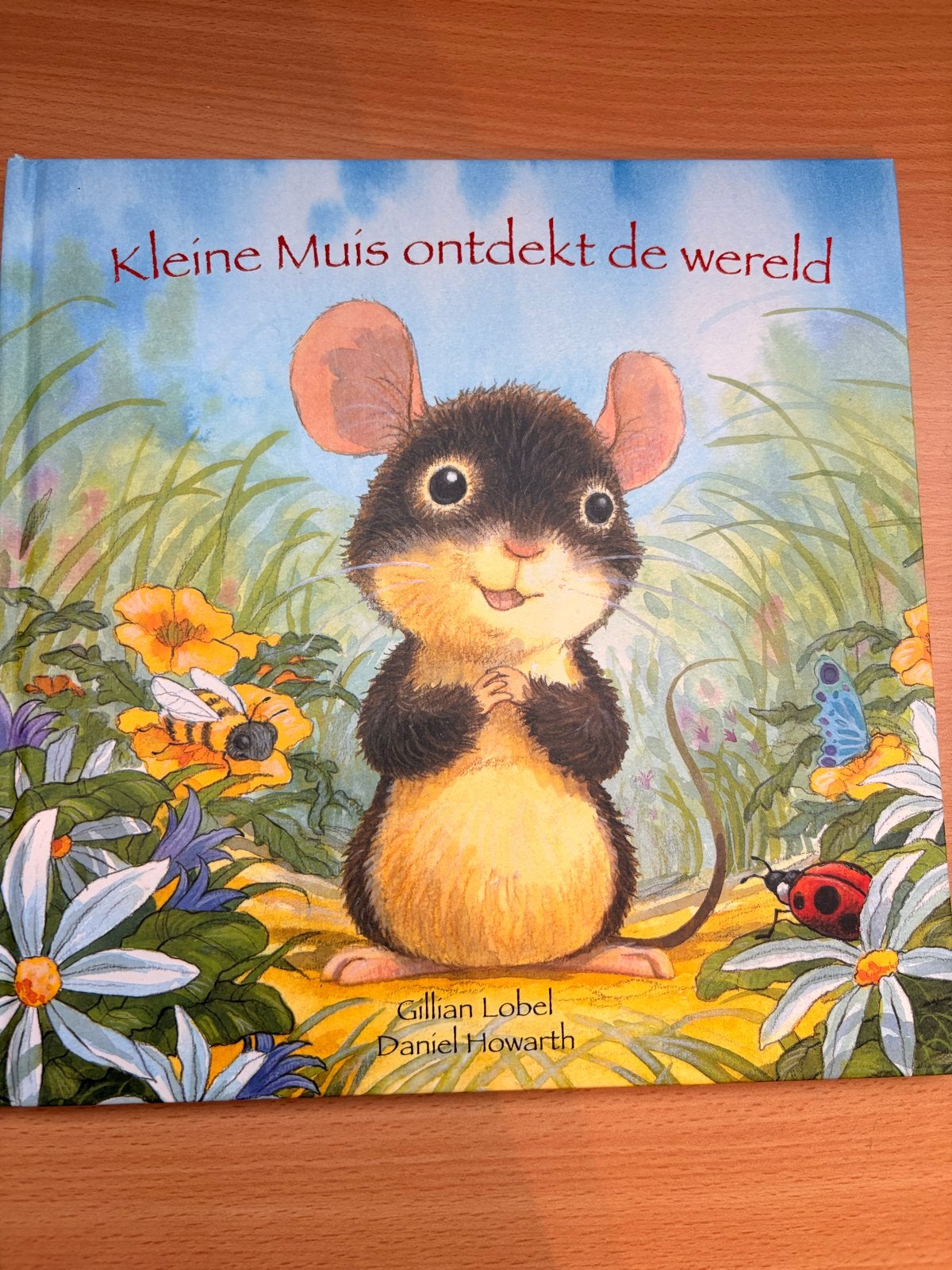 Kleine Muis ontdekt de wereld - Prentenboek, Boeken, Kinderboeken | Kleuters, Fictie algemeen, Jongen of Meisje, Ophalen of Verzenden