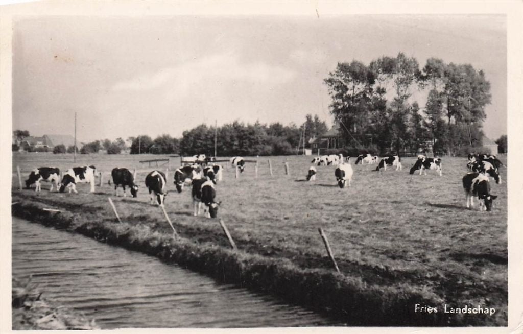 703-038-013 Fries Landschap, Verzenden, Voor 1920, Friesland