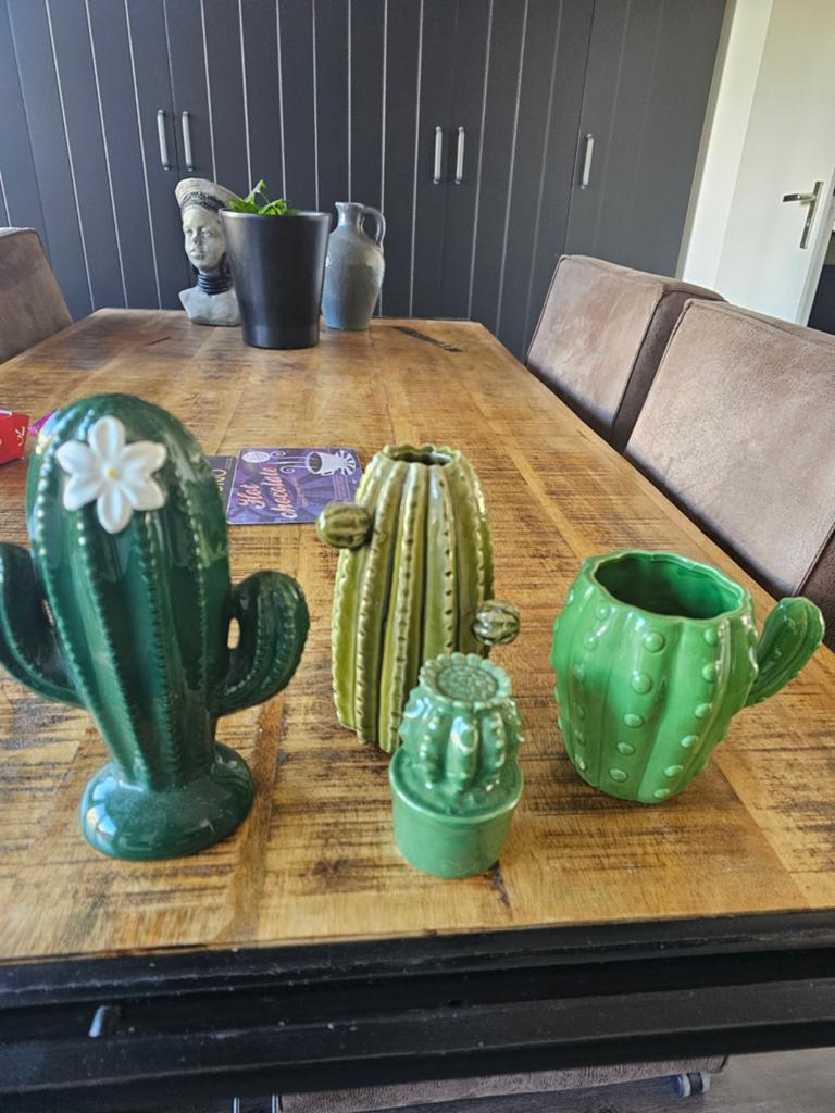 Mooie set cactussen, Ophalen of Verzenden, Zo goed als nieuw
