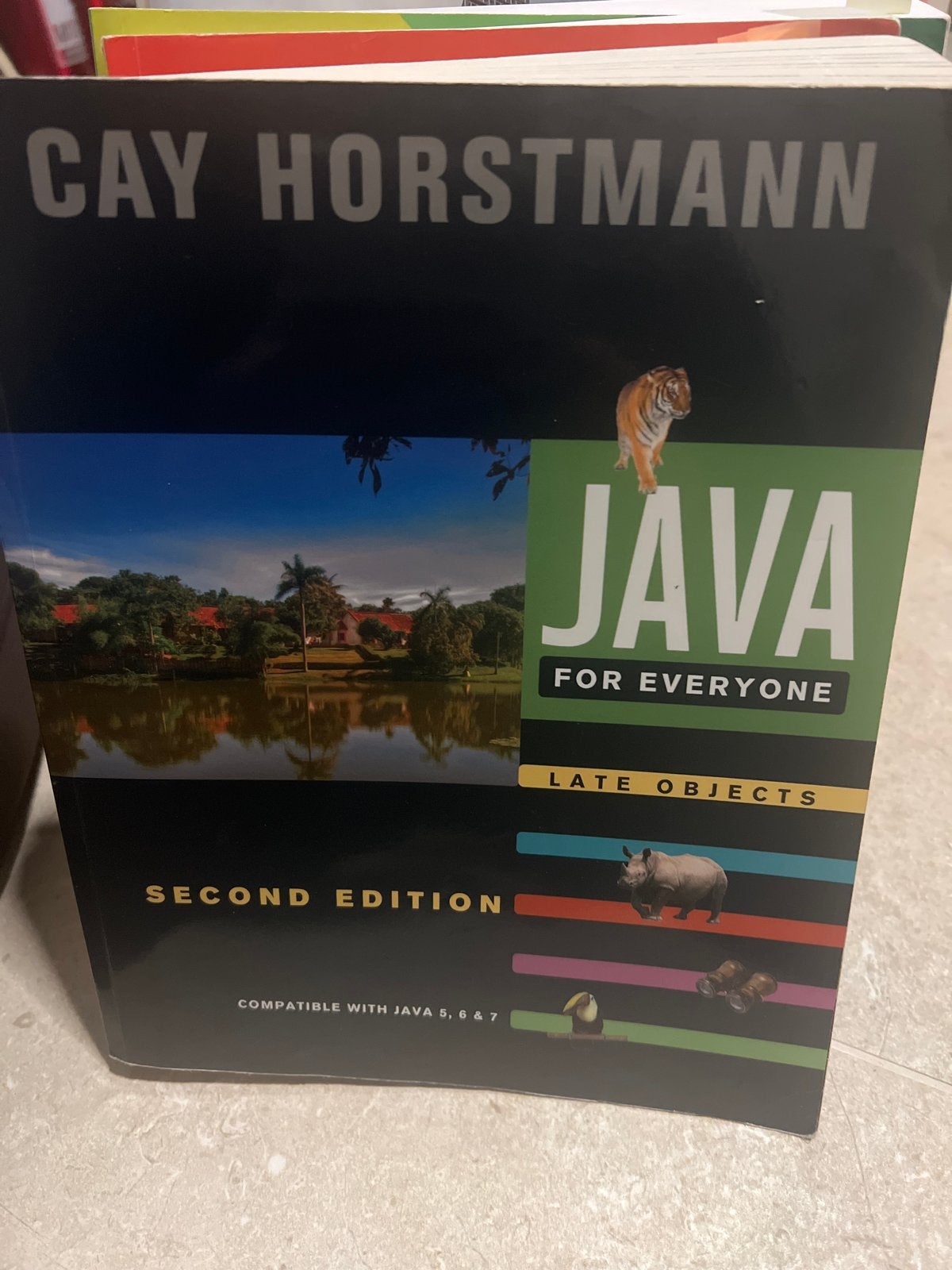 Java for Everyone - Cay Horstmann (Tweede Editie), Boeken, Ophalen of Verzenden, Beta, Zo goed als nieuw, HBO