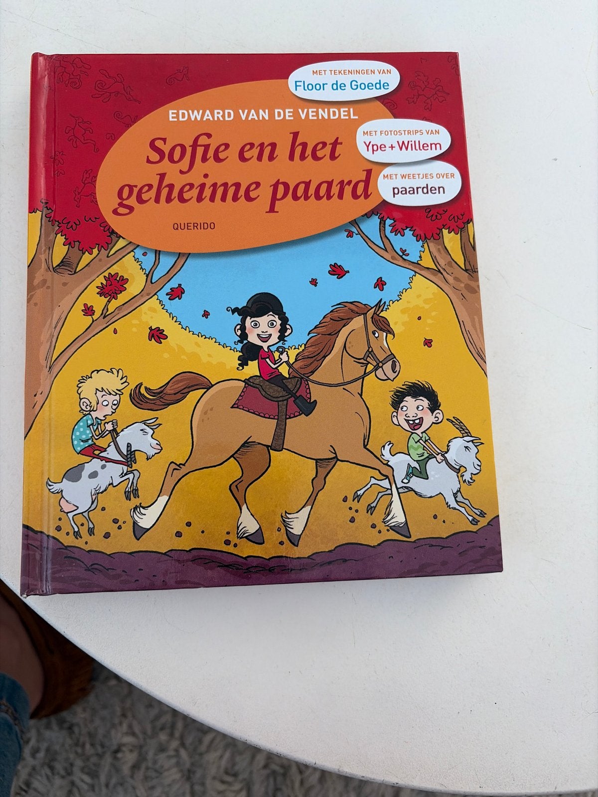 Sofie en het geheime paard - Edward van de Vendel, Boeken, Ophalen, Zo goed als nieuw, Fictie algemeen