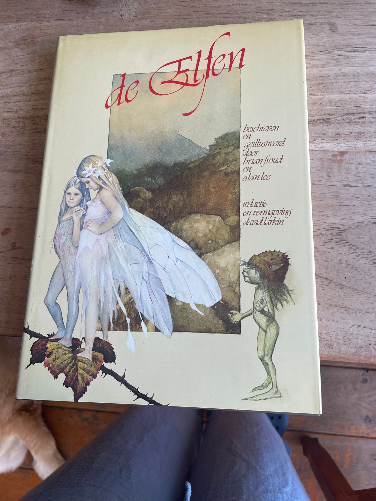 De Elfen - Brian Froud & Alan Lee (Fantasy Kunstboek), Ophalen of Verzenden, Gelezen