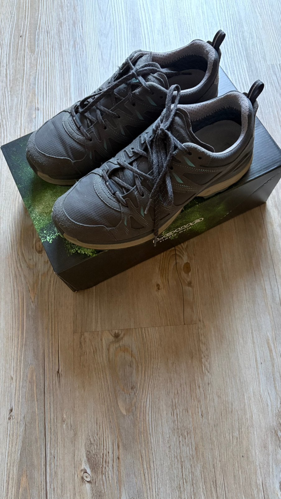 Lowa Innox Evo II GTX wandelschoenen maat 40, Ophalen of Verzenden, Gebruikt, Schoenen