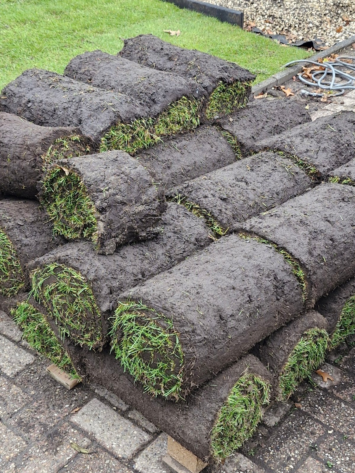 GRATIS Verse graszoden te koop - direct leggen! 28m2, Ophalen of Verzenden, Nieuw, 10 tot 20 m², Gras
