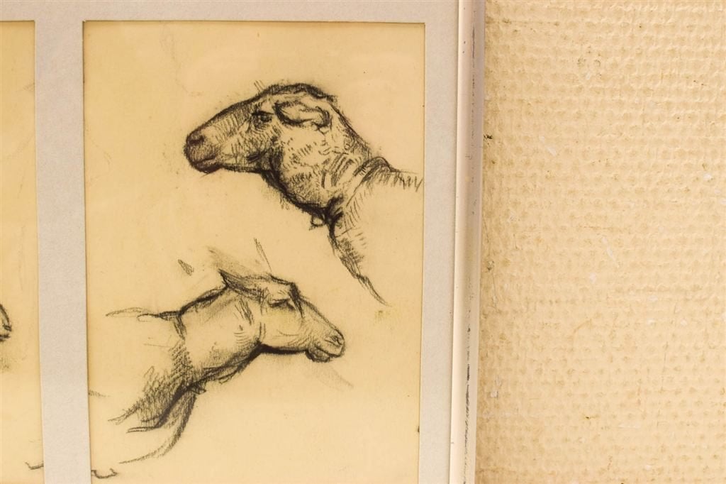 Prent / Tekening van schapen en paardenhoofden 49091, Ophalen of Verzenden, Voor 1920, Ongelopen, Vogel