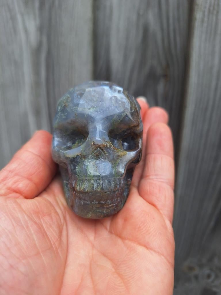 Skull mosagaat, Verzamelen, Mineralen en Fossielen, Verzenden