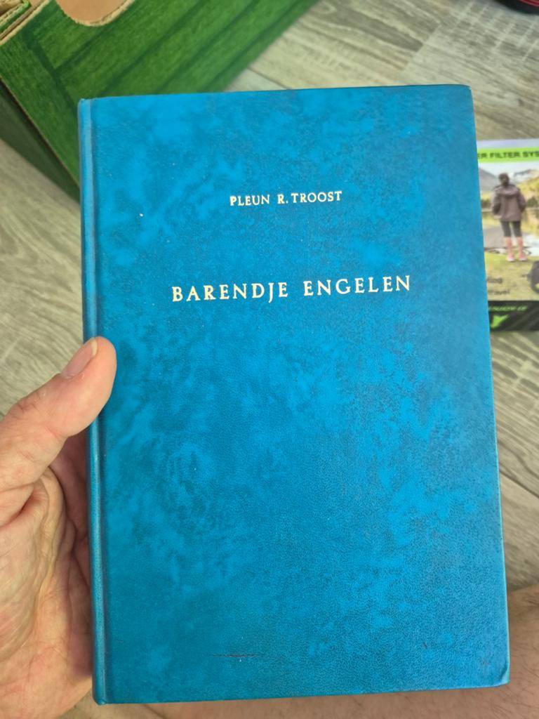 Barendje Engelen - Pleun R. Troost (1974), Boeken, Ophalen of Verzenden, Gelezen, Pleun R. Troost, Nederland