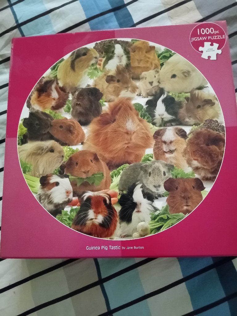 Ronde legpuzzel, Ophalen of Verzenden, 500 t/m 1500 stukjes, Zo goed als nieuw, Legpuzzel
